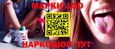 амф Сланцы