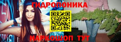 крисы Славянск-на-Кубани
