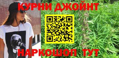амф Сланцы