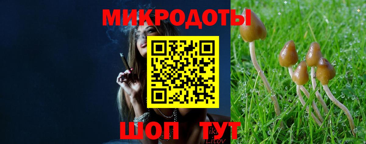 Галлюциногенные грибы Cubensis Новокубанск